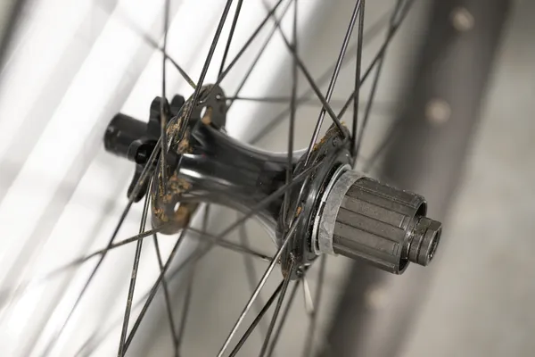 Jones Stock 29+ Wheelset, Aluminum Rims, 6-Bolt Shimano Hub, 203mm Rotor - Image 4